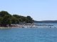 U plićaku Jadrana viđeno opasno stvorenje: Približilo se popularnoj plaži, upozorenje za turiste i kupače