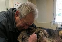 Starac je doveo svog psa da ga uspavaju jer nije mogao platiti liječenje… Ali veterinar je učinio nešto zbog čega su svi u klinici završili u suzama