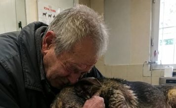Starac je doveo svog psa da ga uspavaju jer nije mogao platiti liječenje… Ali veterinar je učinio nešto zbog čega su svi u klinici završili u suzama