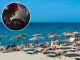Dečak iz Srbije zgazio otrovno stvorenje na plaži u Grčkoj: “Toliko boli i brzo otiče da ne mogu da vam opišem”