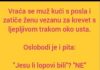 VIC DANA: Ne svađaj se sa molerima