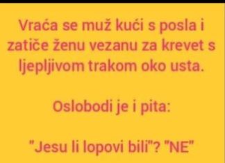 VIC DANA: Ne svađaj se sa molerima