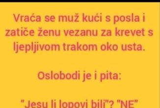 VIC DANA: Ne svađaj se sa molerima