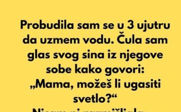 Probudila sam se u 3 ujutru da uzmem vodu…