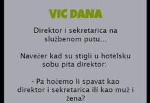 VIC DANA: Direktor i sekretarica na službenom putu