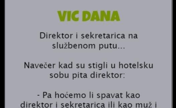 VIC DANA: Direktor i sekretarica na službenom putu