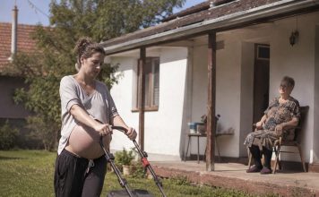 Pokosila sam travu 82-godišnjoj udovici iz susjedstva; sljedećeg jutra sudski izvršitelj pokucao je na moja vrata sa zahtjevom od kojeg mi se sledila krv u žilama.