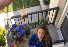 Moj komšija je stalno bacao iskorišćene kesice čaja na moj balkon. Tri puta sam ga upozorila — a onda sam odlučila da postupim potpuno drugačije.