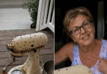 Susjeda me nagovorila da joj posudim mikser moje pokojne majke – onda ga je razbila, ostavila prljavog na mom trijemu i nekako me natjerala da se zapitam je li to bilo namjerno