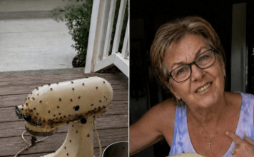 Susjeda me nagovorila da joj posudim mikser moje pokojne majke – onda ga je razbila, ostavila prljavog na mom trijemu i nekako me natjerala da se zapitam je li to bilo namjerno