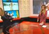 “SVE BIH VAS ZAPALILA, ZA KOSU BIH TE IZVUKLA!” Goca Tržan skočila na voditeljku, a kad čujete RAZLOG, sve će vam biti jasno: “Jesi li ti, bre, normalna?!”Kakav skandal u emisiji(VIDEO)