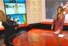 “SVE BIH VAS ZAPALILA, ZA KOSU BIH TE IZVUKLA!” Goca Tržan skočila na voditeljku, a kad čujete RAZLOG, sve će vam biti jasno: “Jesi li ti, bre, normalna?!”Kakav skandal u emisiji(VIDEO)