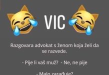 VIC DANA: Razvod