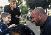 Dječak u invalidskim kolicima koji je zamolio za psa… i zauvijek promijenio dva slomljena života 😱💔