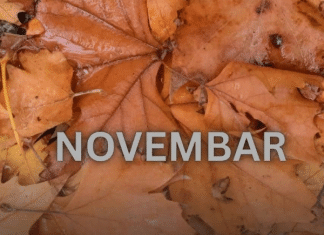 Od novembra kreće njihovo zlatno doba: 3 znaka ulaze u period kakav se čeka cijeli život