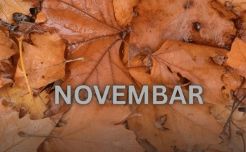 Od novembra kreće njihovo zlatno doba: 3 znaka ulaze u period kakav se čeka cijeli život