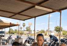 Četvorica motorista naručila su hranu u malom restoranu pored puta, a zatim otišla ne plativši račun jer su mislila da im siromašna starica, vlasnica restorana, ne može ništa učiniti. Ali ti muškarci nisu mogli ni zamisliti s kim su se zapravo zakačili. 😳