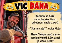 VIC DANA: Kamiondžije