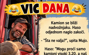 VIC DANA: Kamiondžije