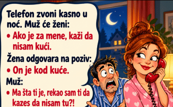 VIC DANA: ŽENA I POZIV