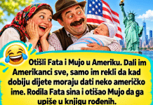VIC DANA: Fata i Mujo u Americi
