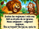 VIC: Majmun i lav